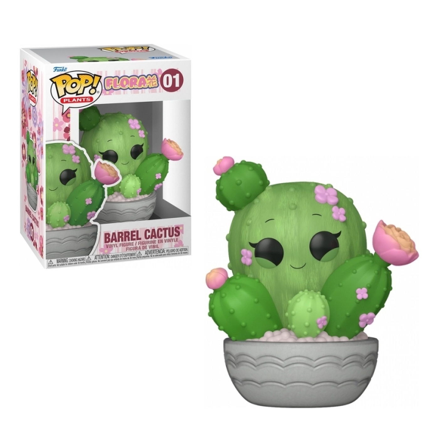 Barrel Cactus #01